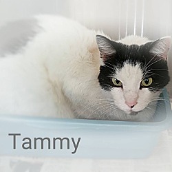 Photo of tammy