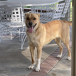 Photo of Roxie