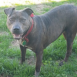 Photo of Daryl Ann
