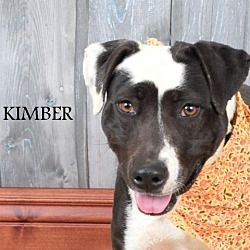 Photo of Kimber