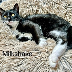 Photo of Milkshake