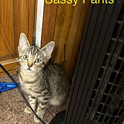 Photo of Ms. Sassy Pants