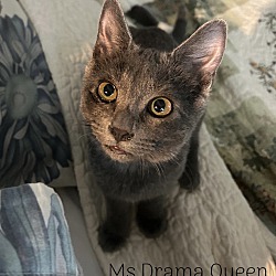 Photo of Ms Drama Queen
