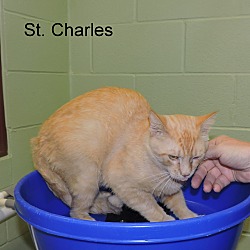 Thumbnail photo of St. Charles #3