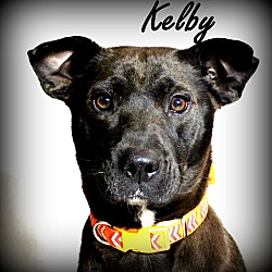 Thumbnail photo of Kelby ~ meet me! #1