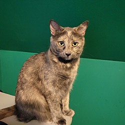 Photo of Maeve