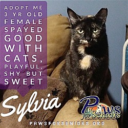 Photo of Sylvia