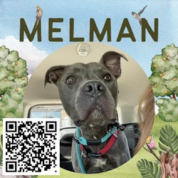 Photo of Melman