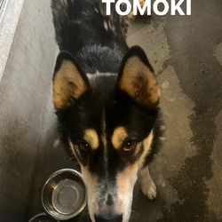 Photo of Tomoki A2127852