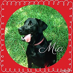 Thumbnail photo of Mia #1