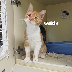 Photo of Gilda