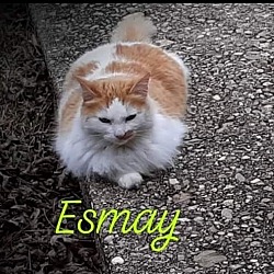 Photo of Esmay