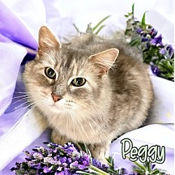 Photo of Peggy 29797