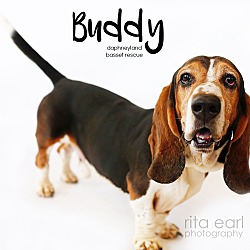 Thumbnail photo of Buddy #3