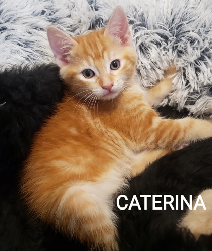 Photo of Caterina