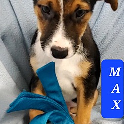 Photo of MAX