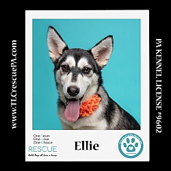 Photo of Ellie 051824