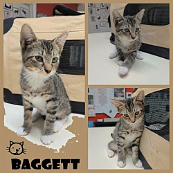 Thumbnail photo of Baggett #3