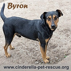Photo of Byron