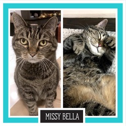 Thumbnail photo of Missy Bella #2