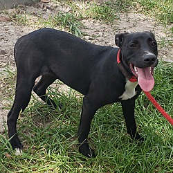 Thumbnail photo of Layla #3