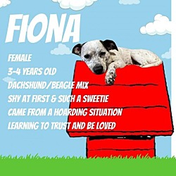 Photo of FIONA