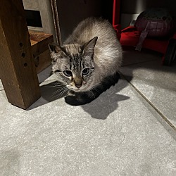 Photo of Sally