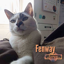 Photo of Fenway