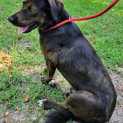 Photo of Flint
