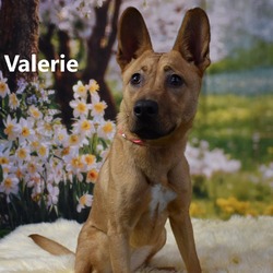 Photo of Valerie
