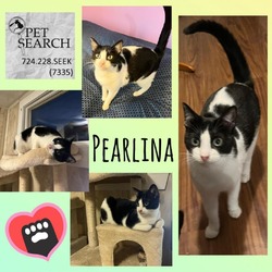 Thumbnail photo of Pearlina #1