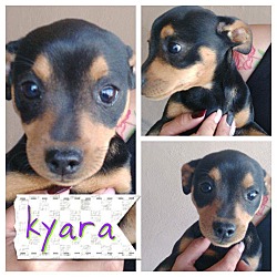 Thumbnail photo of Kyala #1