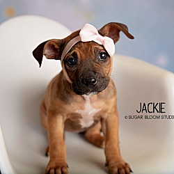 Thumbnail photo of Jackie #1