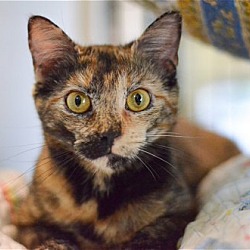 Photo of Mindy