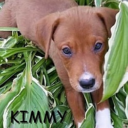 Thumbnail photo of Kimmy #3