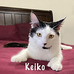 Thumbnail photo of Keiko #1