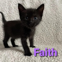 Photo of Faith