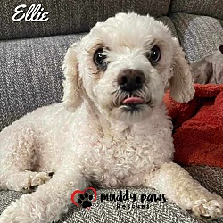 Thumbnail photo of Ellie #4