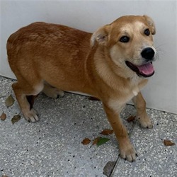 Photo of BROOKS