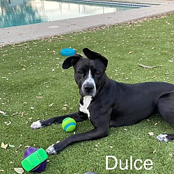 Thumbnail photo of Betty  - Dulce #2