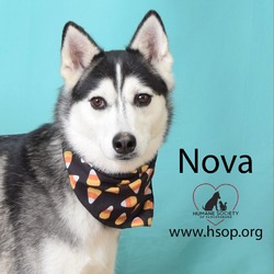 Thumbnail photo of Nova #2