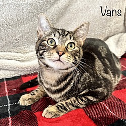 Photo of Vans