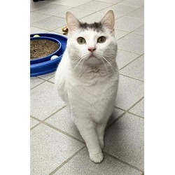 Photo of PAISLEY