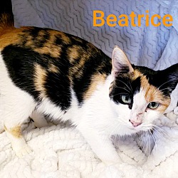 Thumbnail photo of Beatrice #3