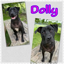 Thumbnail photo of Dolly #4