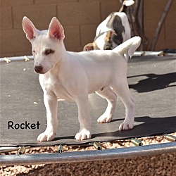 Thumbnail photo of Rocket #3