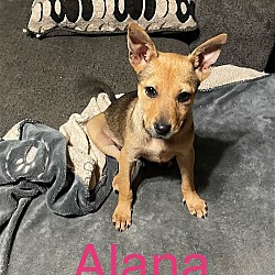 Photo of Alana