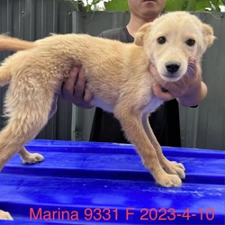 Thumbnail photo of Marina 9331 #1