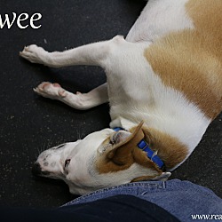 Thumbnail photo of Stewie #4