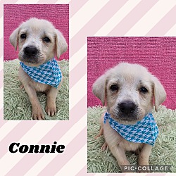 Photo of Connie